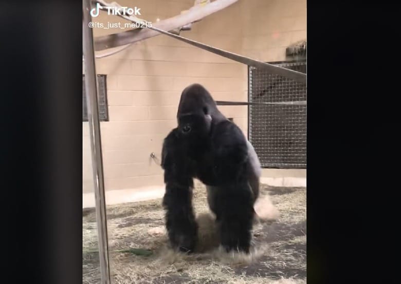 @its_just_me0215/TikTok