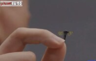 中国軍事大学が特殊任務向け「蚊サイズ」ドローンを公開。従来型兵器に対して優位性を持つ可能性
