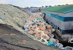 プラスチック条約、最後の政府間議始まる...アメリカの姿勢変容に懸念