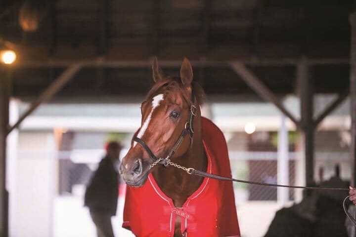 220621p59_mtt02.jpg