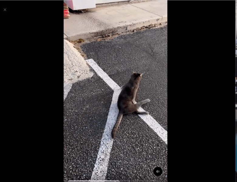 スクリーンショット 2.png