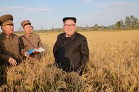 プーチンの危険な「綱渡り」、北朝鮮支援をひそかに加速
