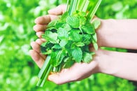 スパイス企業の新戦略...エスビー食品が挑む「食のアップサイクル」とは？