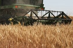 中国、対米農産物関税引き下げ発表　大豆は対象外