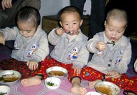 北朝鮮の孤児たちは、牛糞まであさって飢饉を生き延びた
