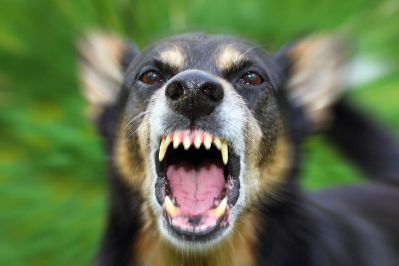 （写真はイメージです）　tverkhovinets-iStock