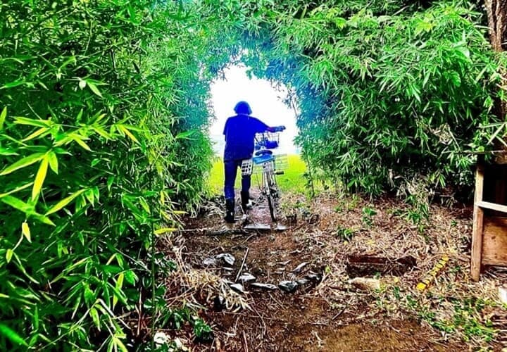 斉藤さん（仮名）はある日の夕方、自転車で家を出たまま戻ってこなかった