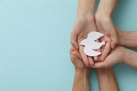 世界平和度指数、日本の順位は？...ロシア＆ウクライナは最下位で、1位は？