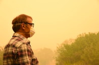「大気中の有害な微小粒子が脳に影響を及ぼすおそれがある」との研究結果