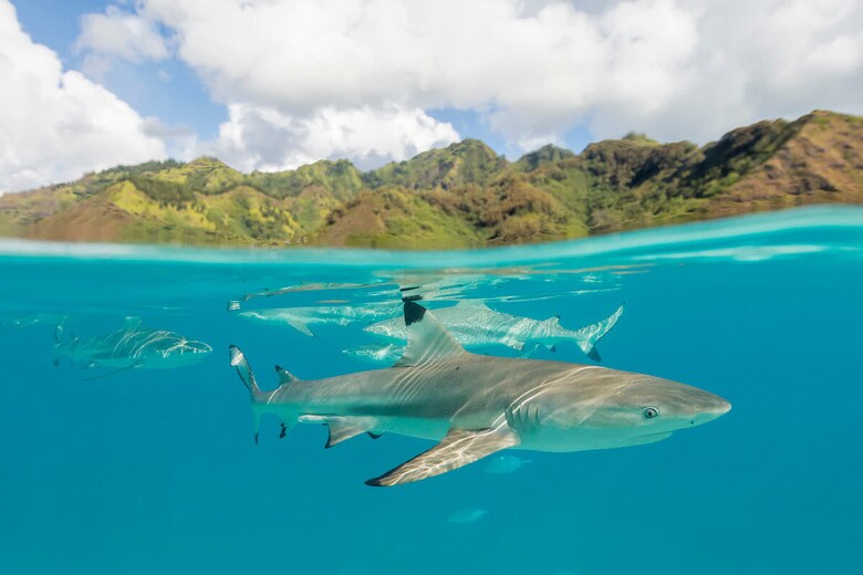 （写真はイメージです）　Andrew Peacock-iStock