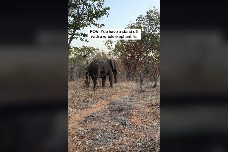 @tanyanikki93/TikTok