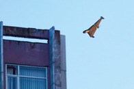 ドローン優位はいつまで？――戦争の未来を左右する「指向性エネルギー兵器」