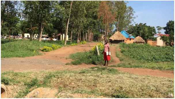 美しい色は人が作る屋根、衣服。