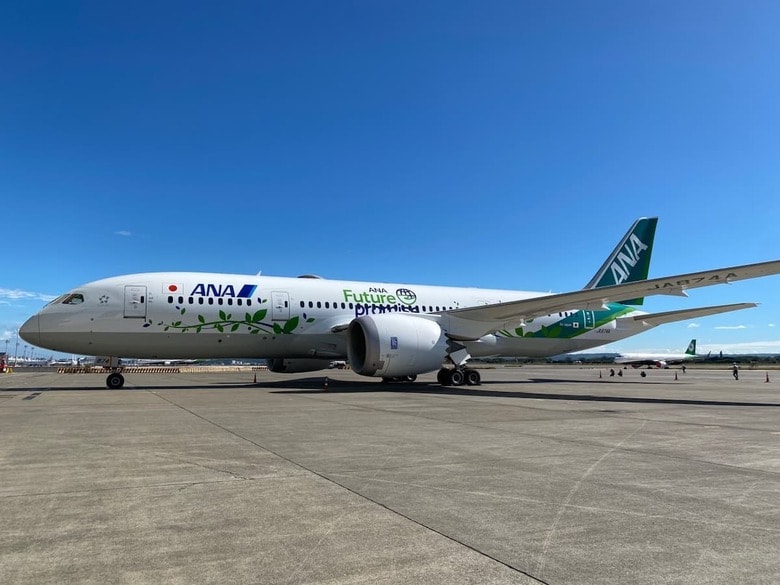 ANA99便で使用されたANA Green Jet