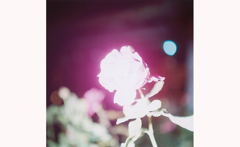 川内倫子《無題》(シリーズ〈Illuminance〉より) 2009年 ©Rinko Kawauchi