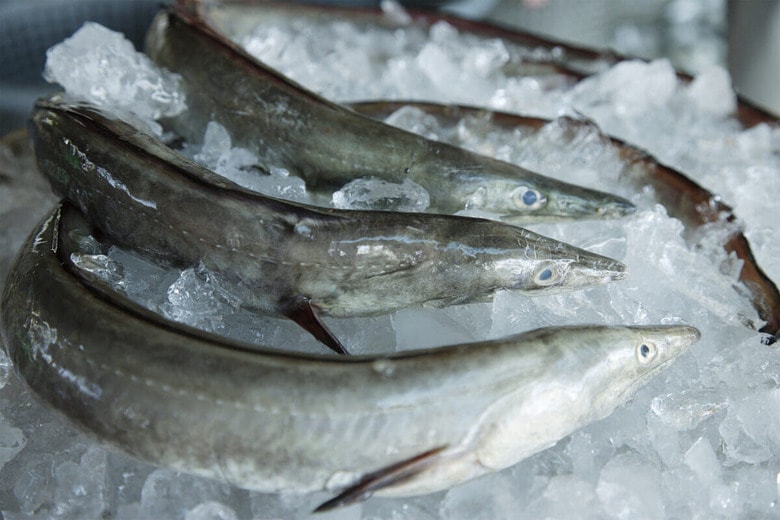 「ドモホルンリンクル」では、鱧の皮から抽出した海洋性コラーゲンを使用している