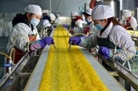 欧米食品メーカー、中国の輸入食品への安全規制強化に反対