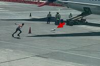 【動画】ハイテンションな子犬が滑走路を爆走　完全におちょくられる職員