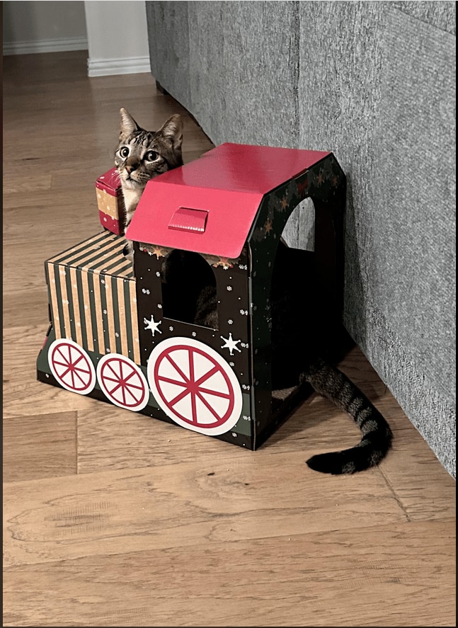 スクリーンショット (51).png