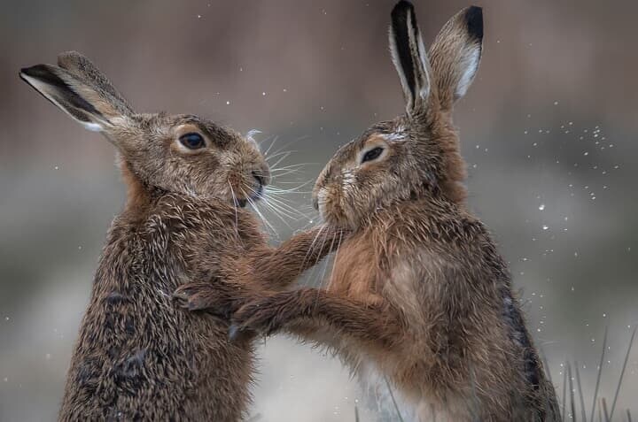 （写真はイメージです）　Nick Hurst-iStock