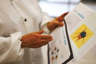 「寄生バエ」撃退作戦、米メキシコ国境で家畜輸入再開へ──不妊虫で築く「生物の壁」