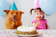 小さな子供は「誕生日パーティの回数だけ年を取る」と思っている？　