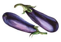 ナスはドイツ語でもNASU？　言葉はモノに名前をつけることから生まれる