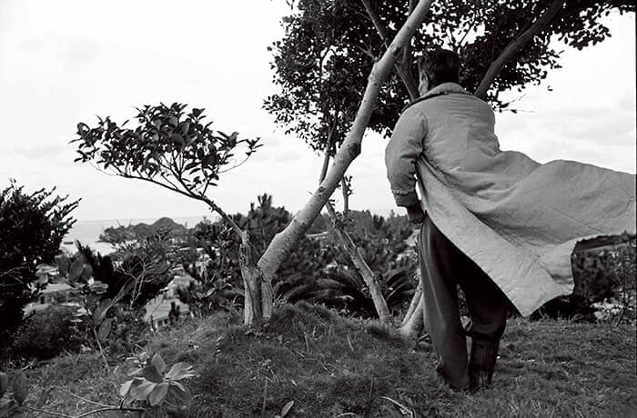 『海を見つめる』 1975年1月10日