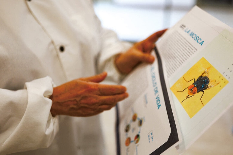 ラセンウジバエの発生は畜産業界の死活問題だ　JOSE LUIS GONZALEZｰREUTERS