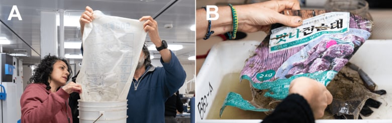 マルデルプラタ海底峡谷で収集されたゴミ　Misha Vallejo, Schmidt Ocean Institute / PLOS One