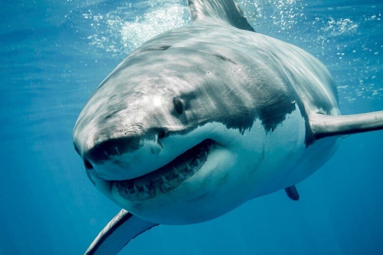 （写真はイメージです）　RamonCarretero-iStock