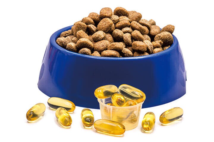 bowl of pet food with omega 3, vitamin for domestic animals that makes the fur beautiful, healthier food based on fish oil, isolated white background