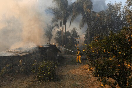 　１２月７日、米カリフォルニア州ロサンゼルス近郊で発生した山火事は、４日目の７日も勢いが収まらず、避難した住民は約２０万人に上っている。すでに住宅数百棟が焼失したほか、ロサンゼルス地域では多数の学校が休校となった。写真はボンソールで撮影（２０１７年　ロイター／MIKE BLAKE）
