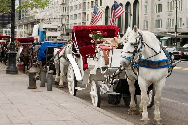 セントラル・パークの馬車（写真はイメージ）　Norbert Rehm-shutterstock