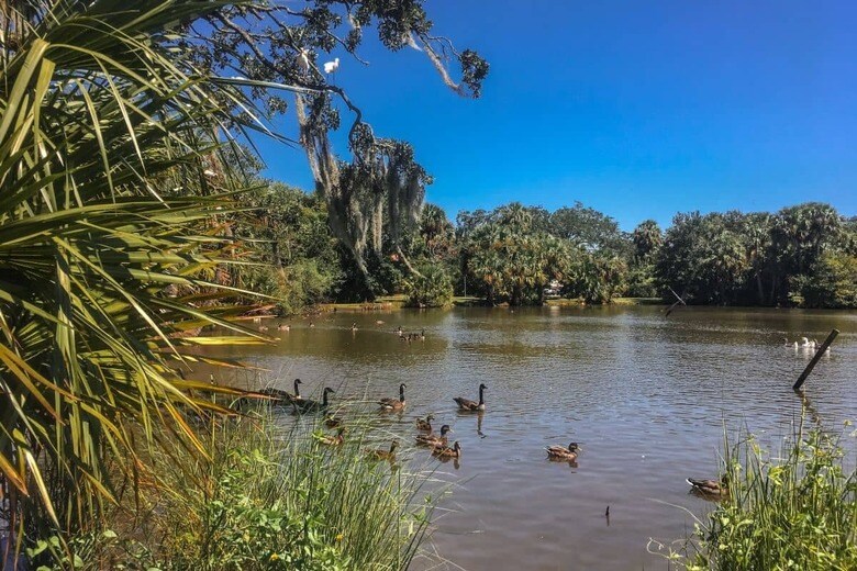 Jaimie Tuchman／iStock