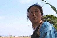 女性脱北ブローカーの数奇な運命を追ったドキュメンタリー『マダム・ベー』