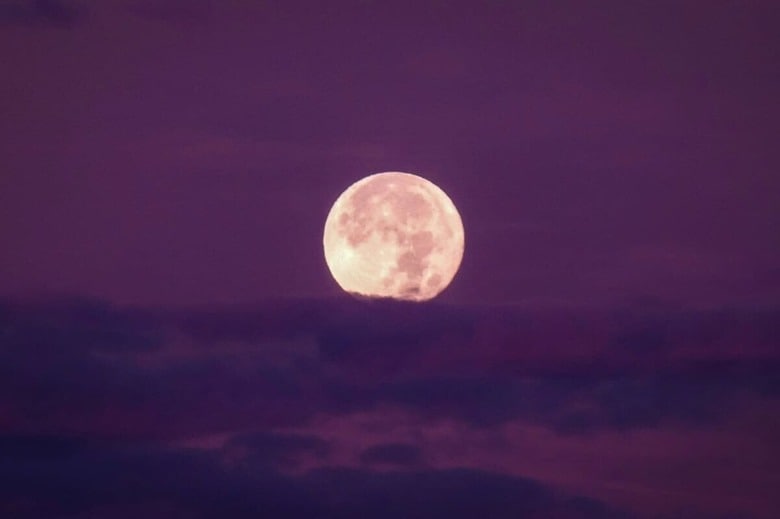 春の夜空を彩るピンクムーン（写真はイメージです）　Kym Mackinnon-Unsplash