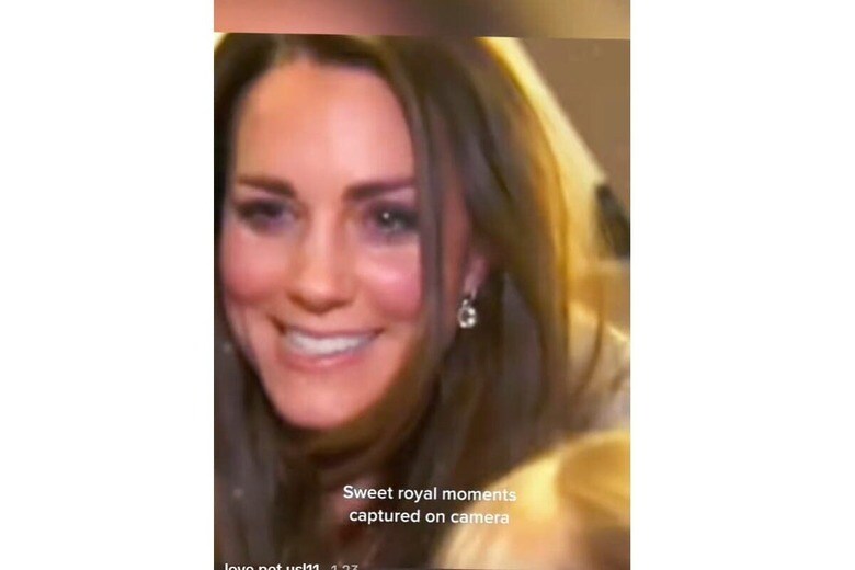 @love.pet.usl11/video