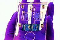 世界で最も先進的な人体の実験モデルが開発される