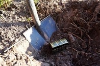 住宅建設予定地に眠っていた「大量の埋蔵金」...現在の価値でどれくらい？　誰が何のために埋めた？