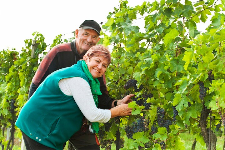 イタリアの長寿村で長生きの秘訣を調査 (写真はイメージ）Josef Mohyla-iStock