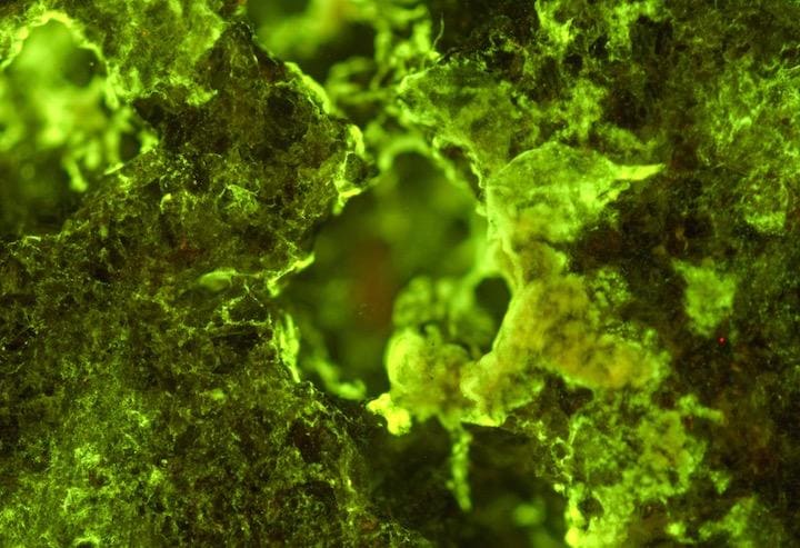 宇宙で微生物を用いて玄武岩からレアアースが抽出できそう...... 　Cockell, Nature Communications, 2020