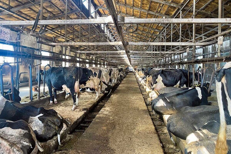 豊かな水源や森林に恵まれた北見市では乳用牛や肉用牛の飼育が盛ん　COURTESY OF KANKYO DAIZEN