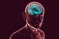 「アルツハイマー型認知症は腸内細菌を通じて伝染する」とラット実験で実証される