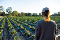 「4針ですかね、縫いました」日本の若者を食い物にする「豪ワーホリのリアル」...アジア出身者を意図的にターゲットに
