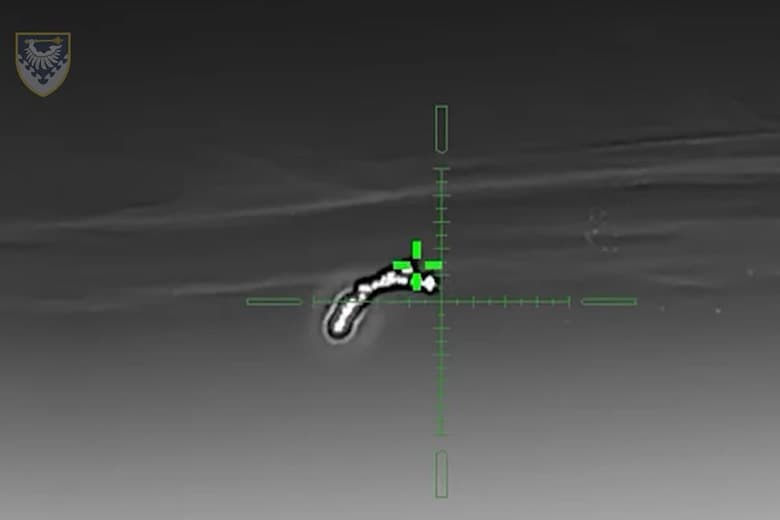 Air Force Command of UA Armed Forces/Facebook