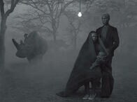 【写真特集】霧の中にたたずむ気候変動の罪なき犠牲者