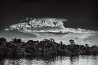 【写真特集】アマゾンの最後の叫びに包まれて