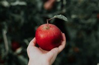【クイズ】世界で2番目に「リンゴの生産量」が多い国はどこ？