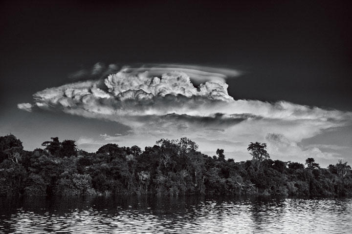 アナビリャーナス群島が広がるネグロ川下流に残された岸辺。雨期に浸水する森は「イガポ」と呼ばれる（アマゾナス州、2019年）　Phootgraphs by ©Sebastião Salgado